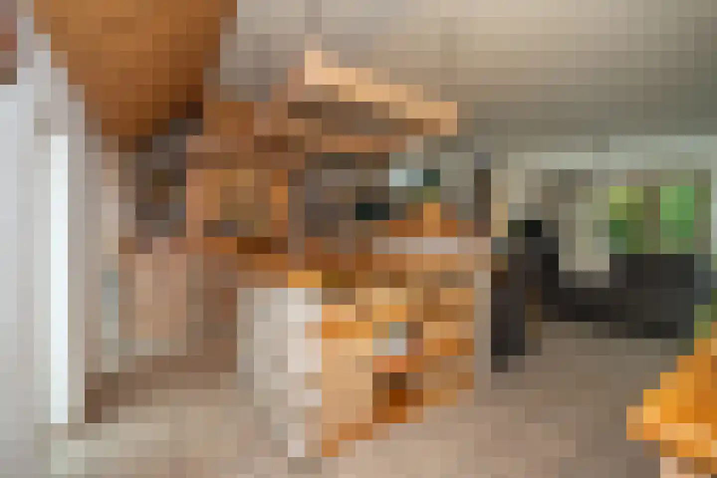 Jipsingboertangerweg 143 Sellingen thumbnail 15