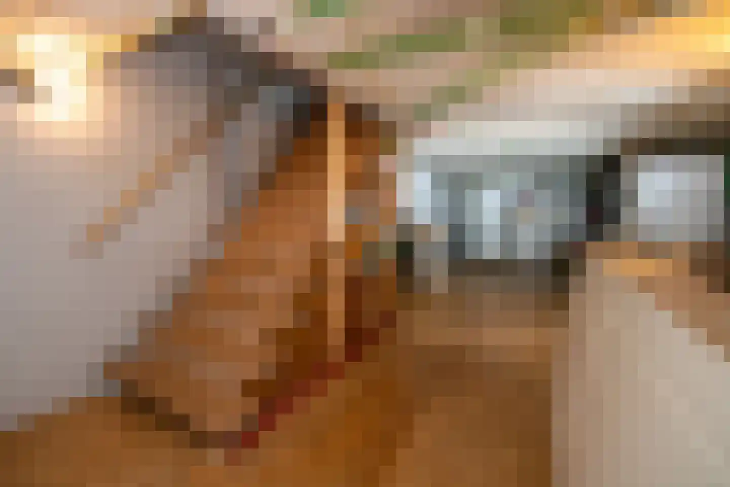 Jipsingboertangerweg 143 Sellingen thumbnail 19
