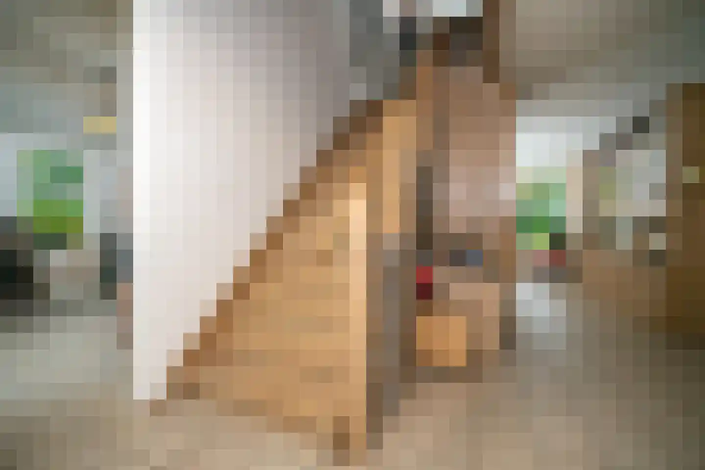 Jipsingboertangerweg 143 Sellingen thumbnail 22