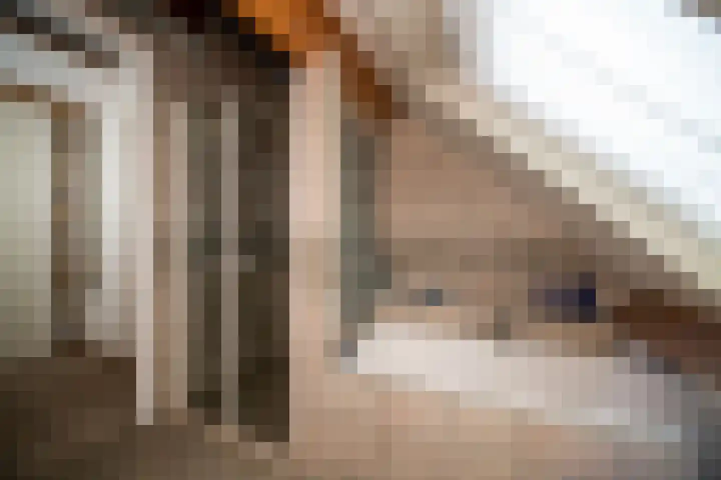 Jipsingboertangerweg 143 Sellingen thumbnail 26