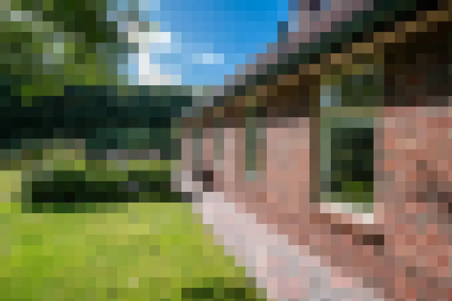 Jipsingboertangerweg 143 Sellingen thumbnail 31