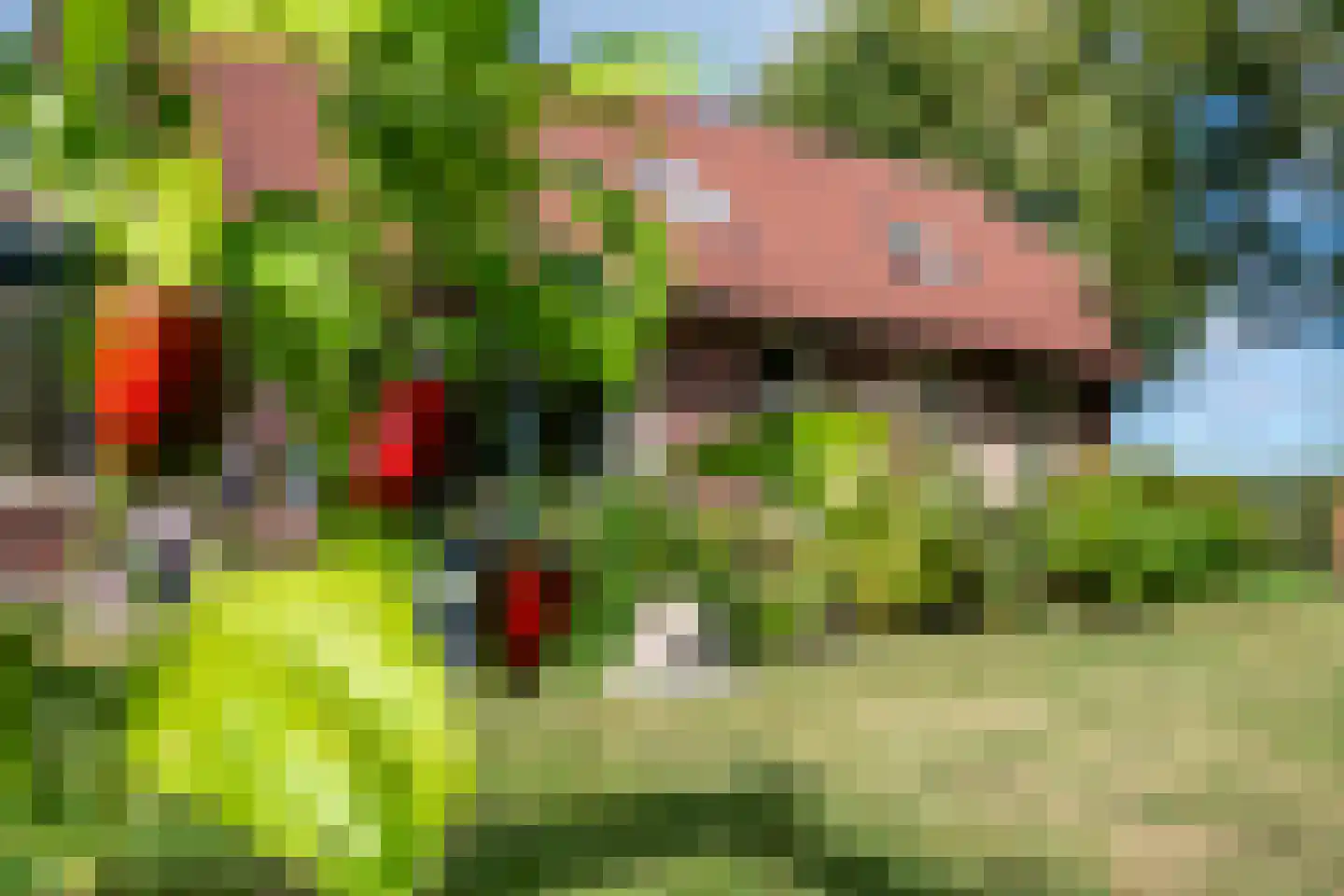 Jipsingboertangerweg 143 Sellingen thumbnail 35