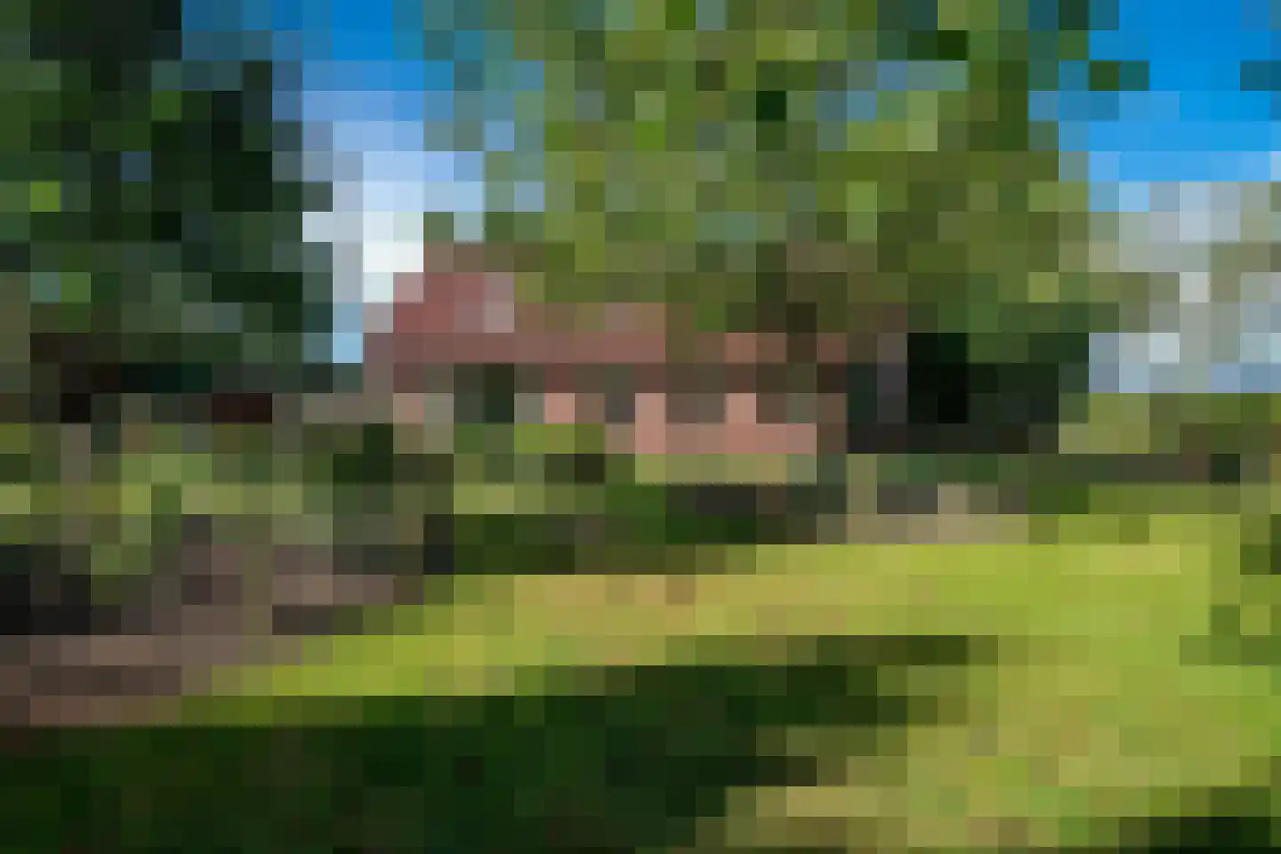 Jipsingboertangerweg 143 Sellingen thumbnail 38