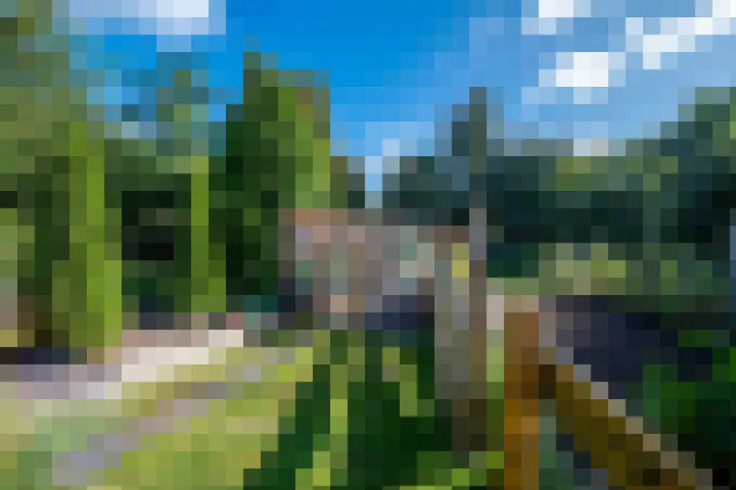 Jipsingboertangerweg 143 Sellingen thumbnail 42