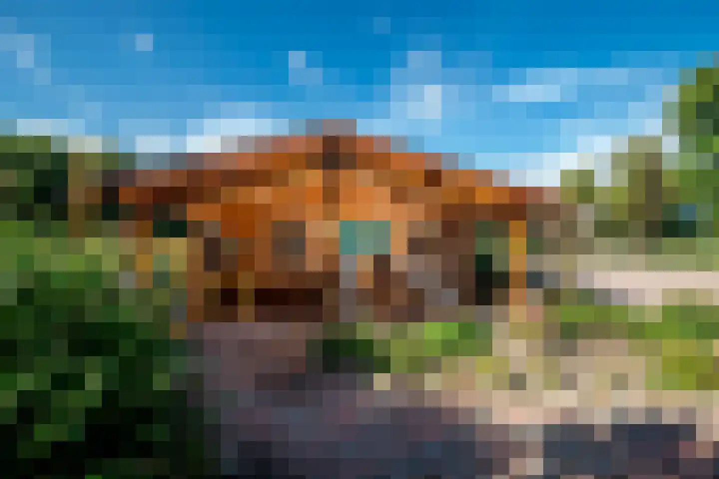 Jipsingboertangerweg 143 Sellingen thumbnail 46