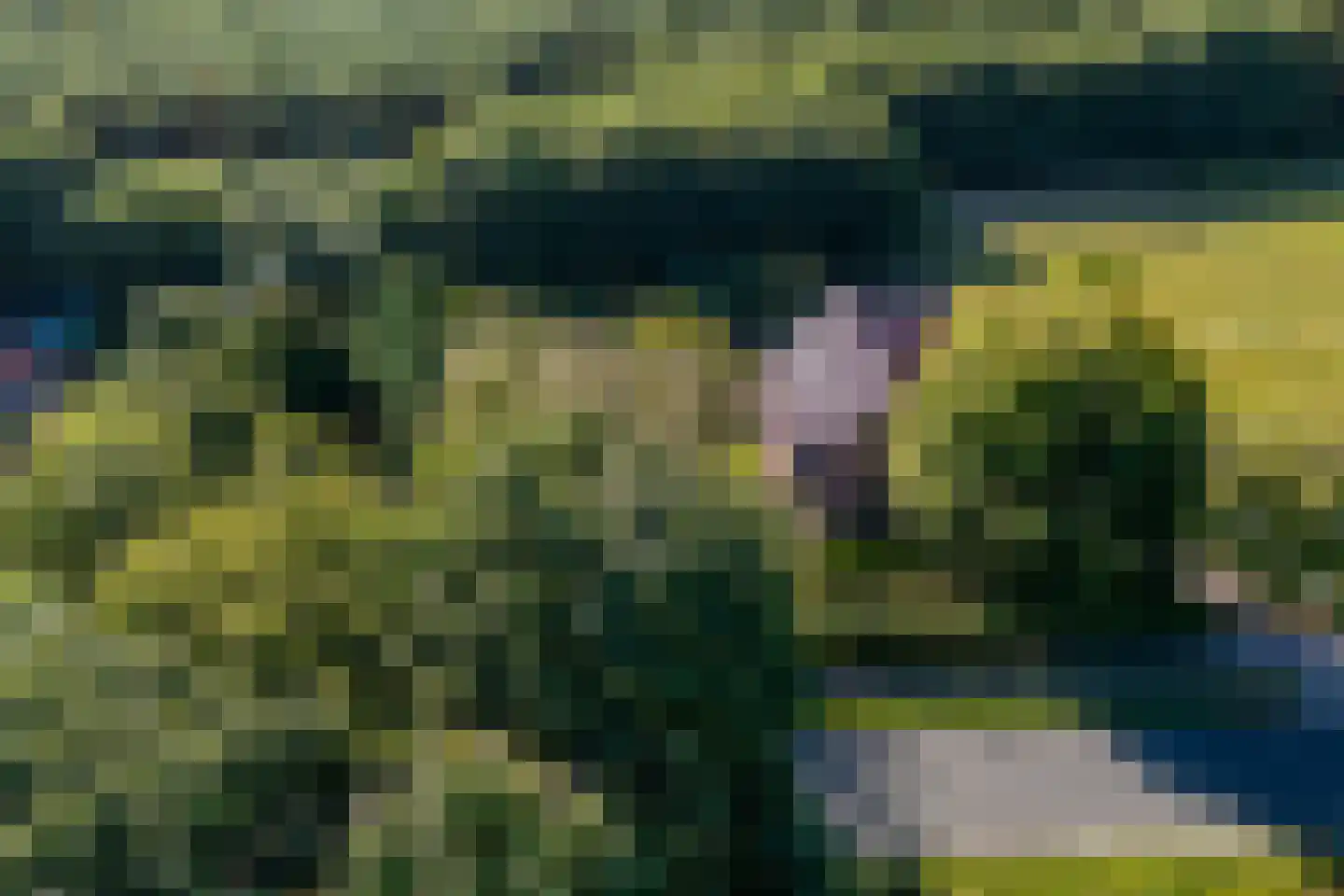 Jipsingboertangerweg 143 Sellingen thumbnail 5