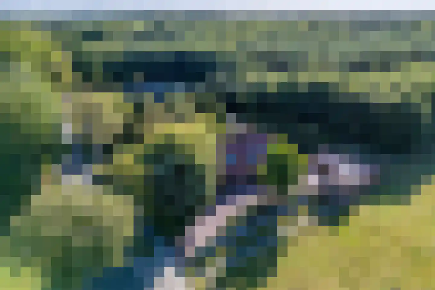 Jipsingboertangerweg 143 Sellingen thumbnail 50