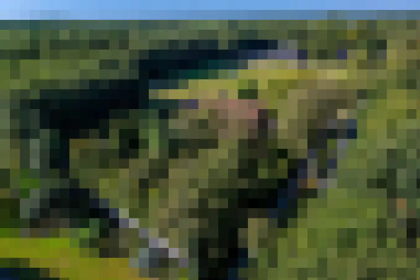 Jipsingboertangerweg 143 Sellingen thumbnail 52
