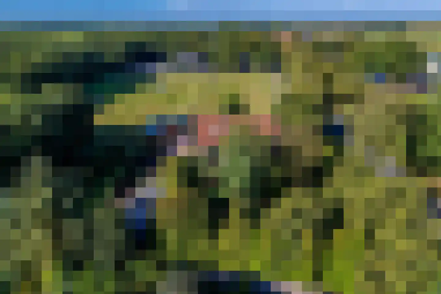 Jipsingboertangerweg 143 Sellingen thumbnail 53