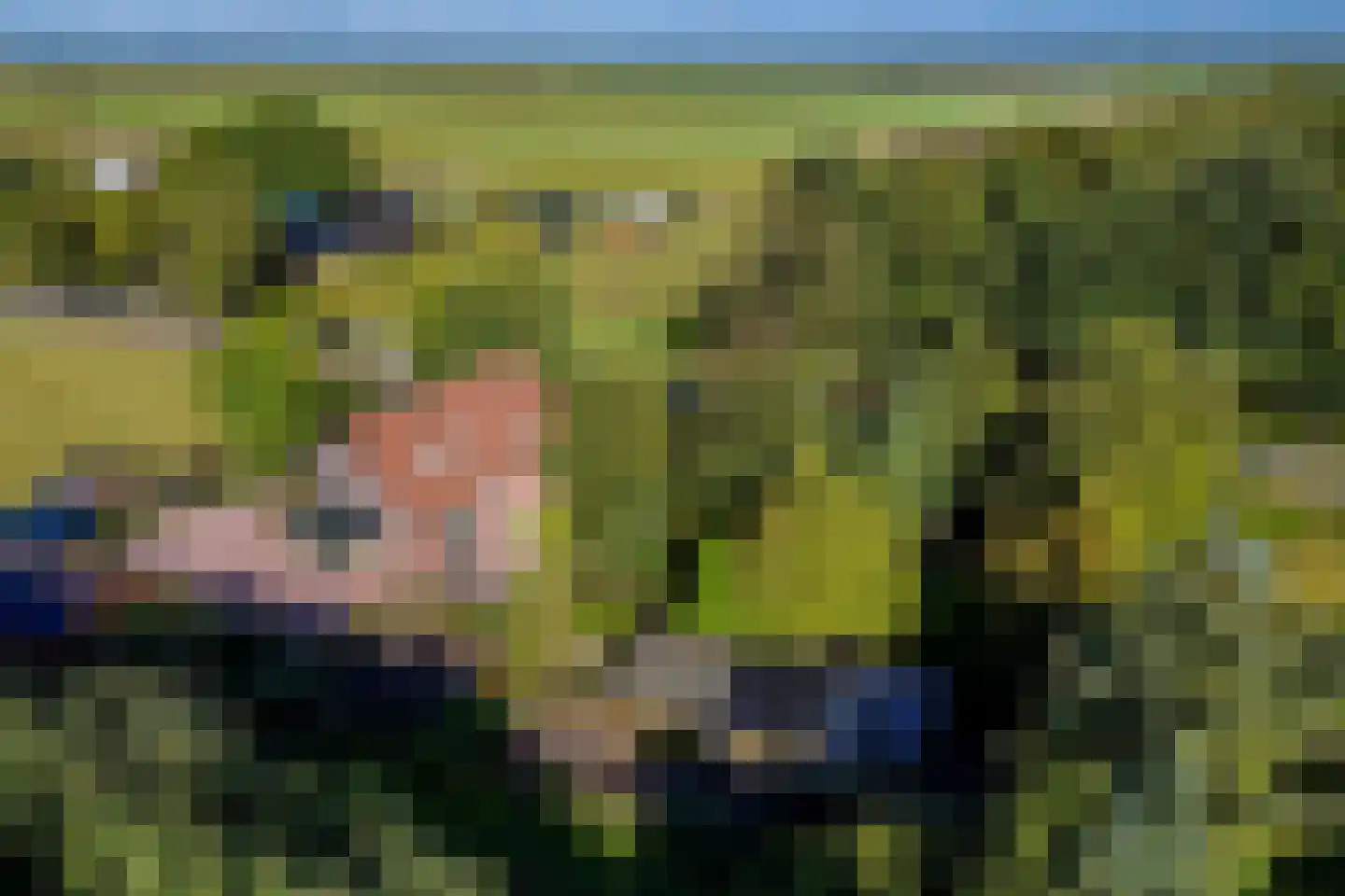 Jipsingboertangerweg 143 Sellingen thumbnail 54