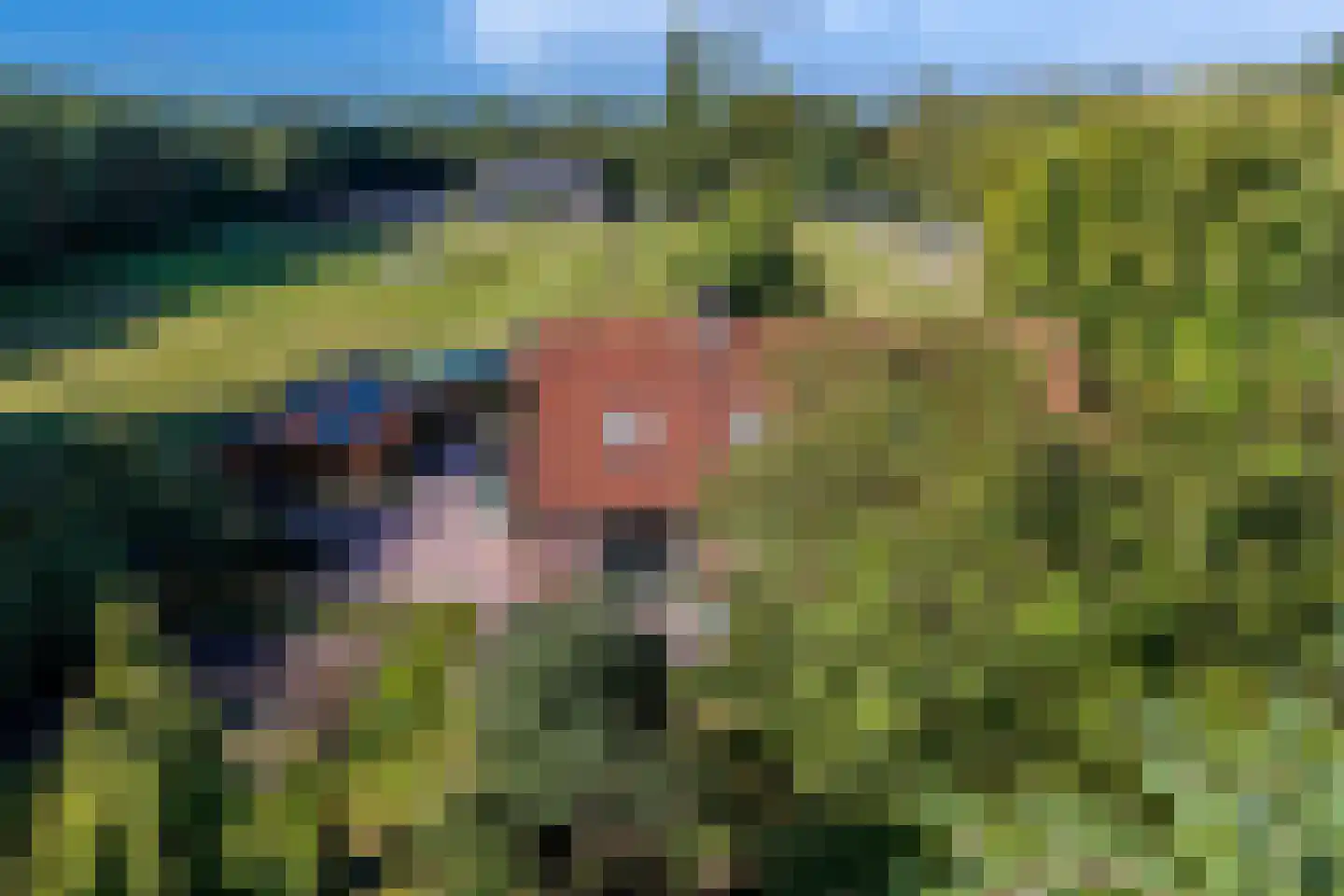 Jipsingboertangerweg 143 Sellingen thumbnail 55