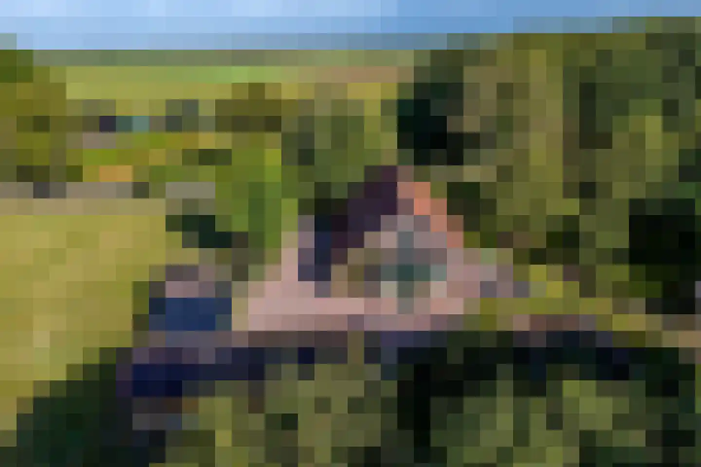 Jipsingboertangerweg 143 Sellingen thumbnail 56