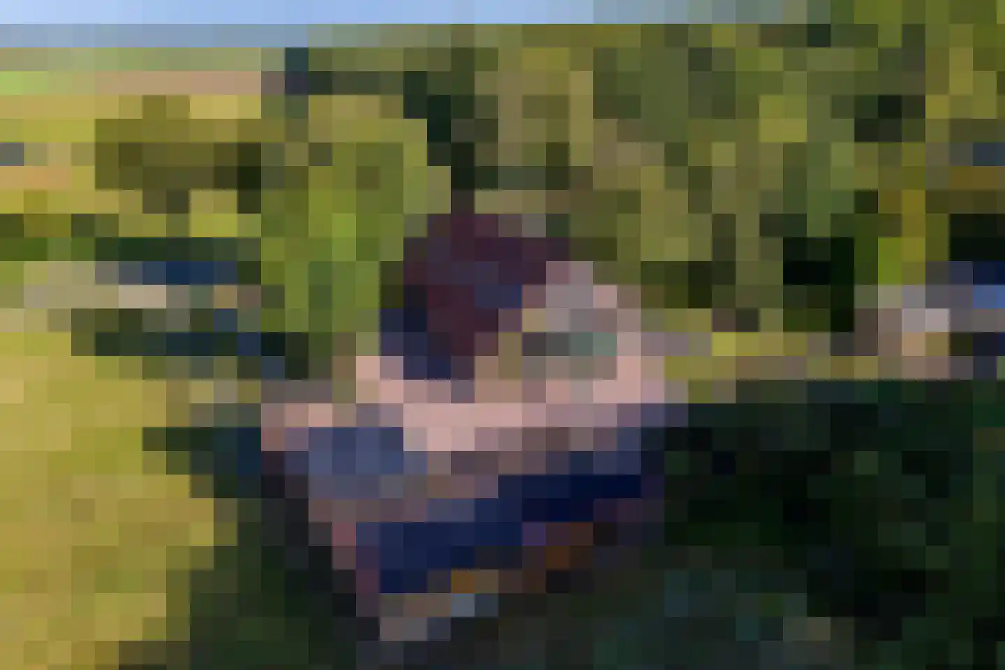 Jipsingboertangerweg 143 Sellingen thumbnail 57