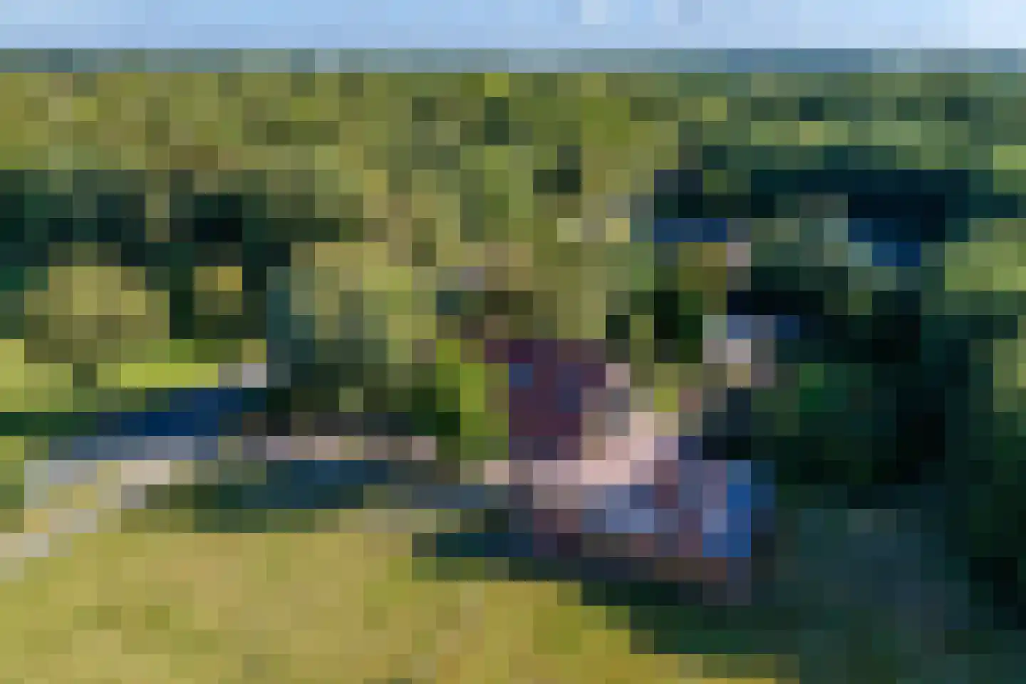 Jipsingboertangerweg 143 Sellingen thumbnail 58