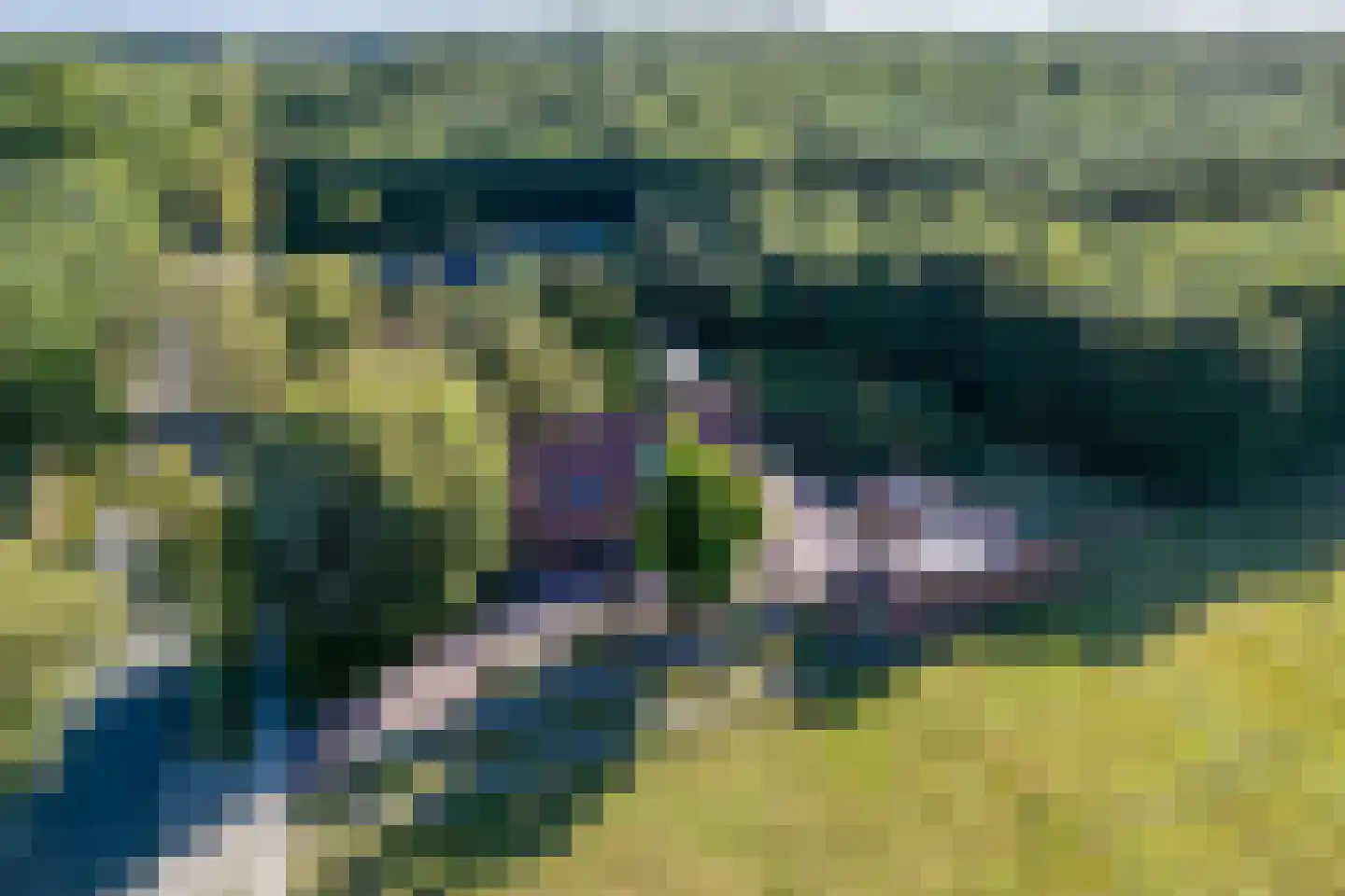 Jipsingboertangerweg 143 Sellingen thumbnail 59
