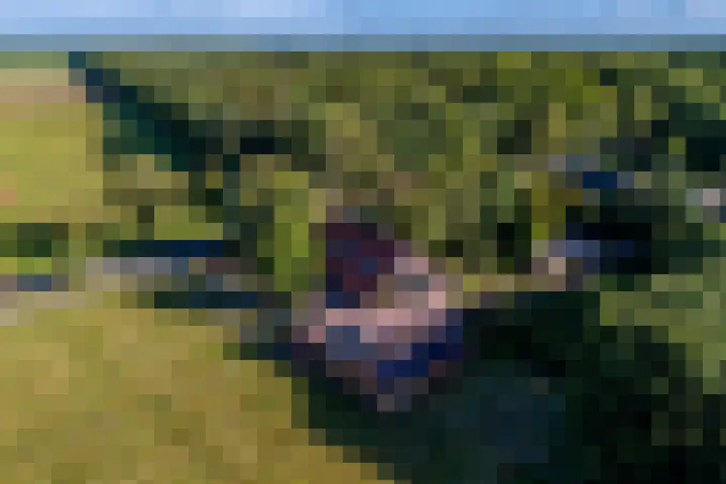 Jipsingboertangerweg 143 Sellingen thumbnail 60