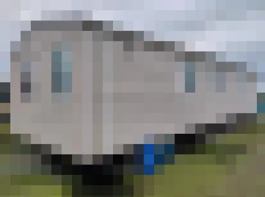 Jipsingboertangerweg 148 a Sellingen thumbnail 4