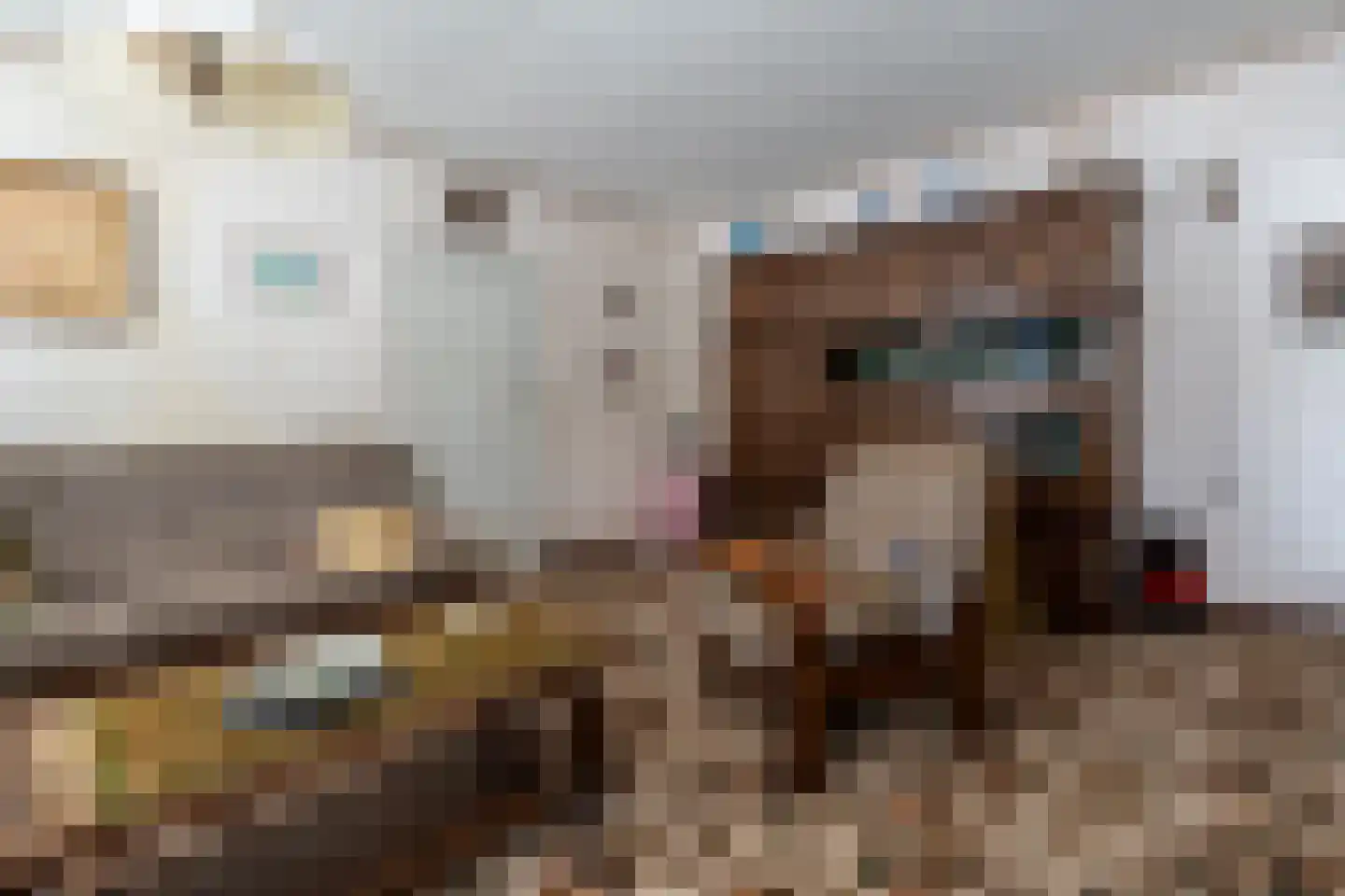 Jipsingboertangerweg 20 Sellingen thumbnail 11