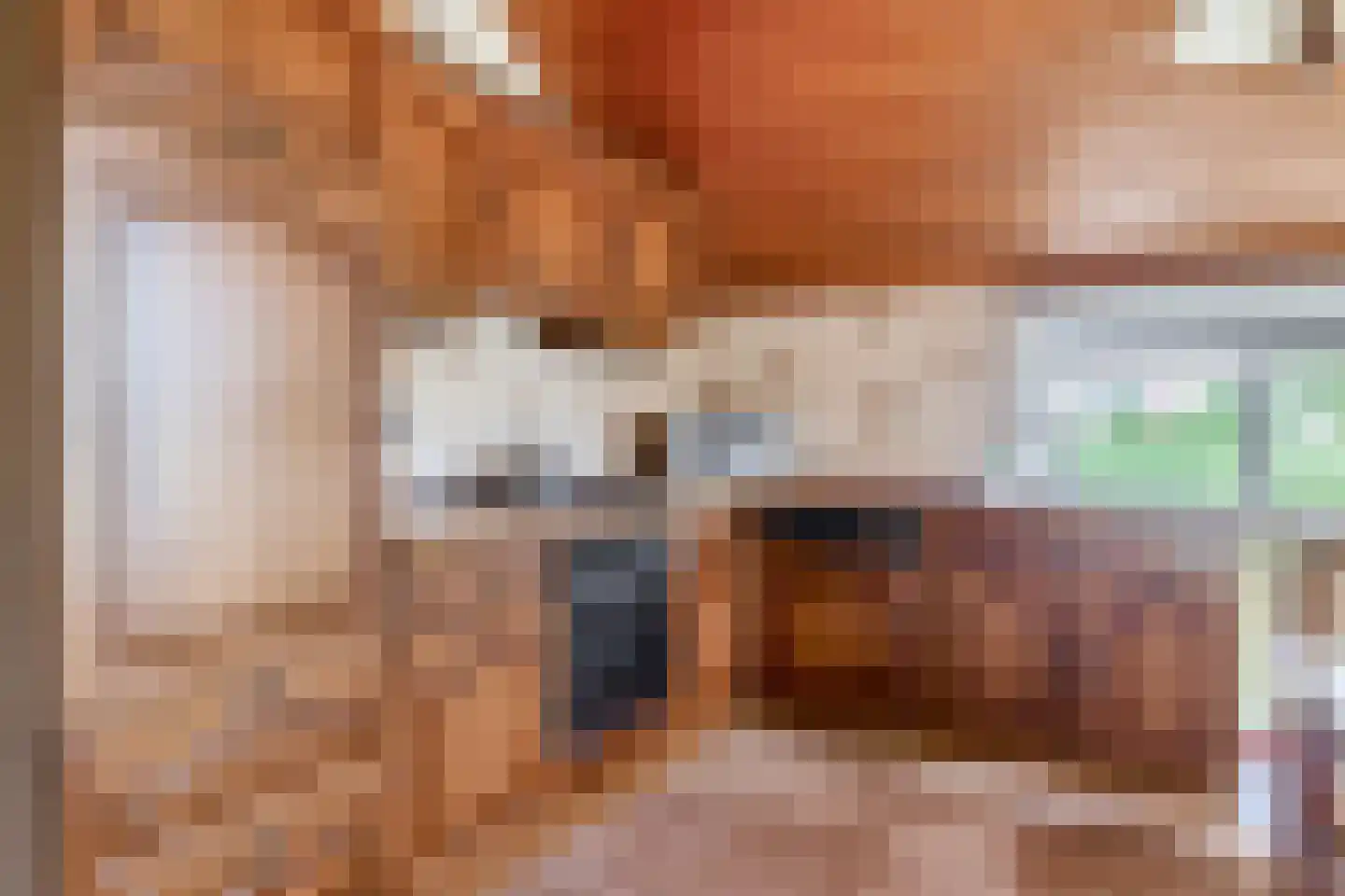 Jipsingboertangerweg 20 Sellingen thumbnail 17