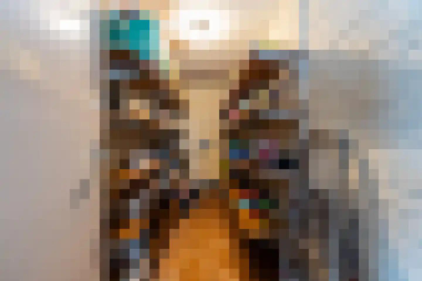 Jipsingboertangerweg 20 Sellingen thumbnail 18