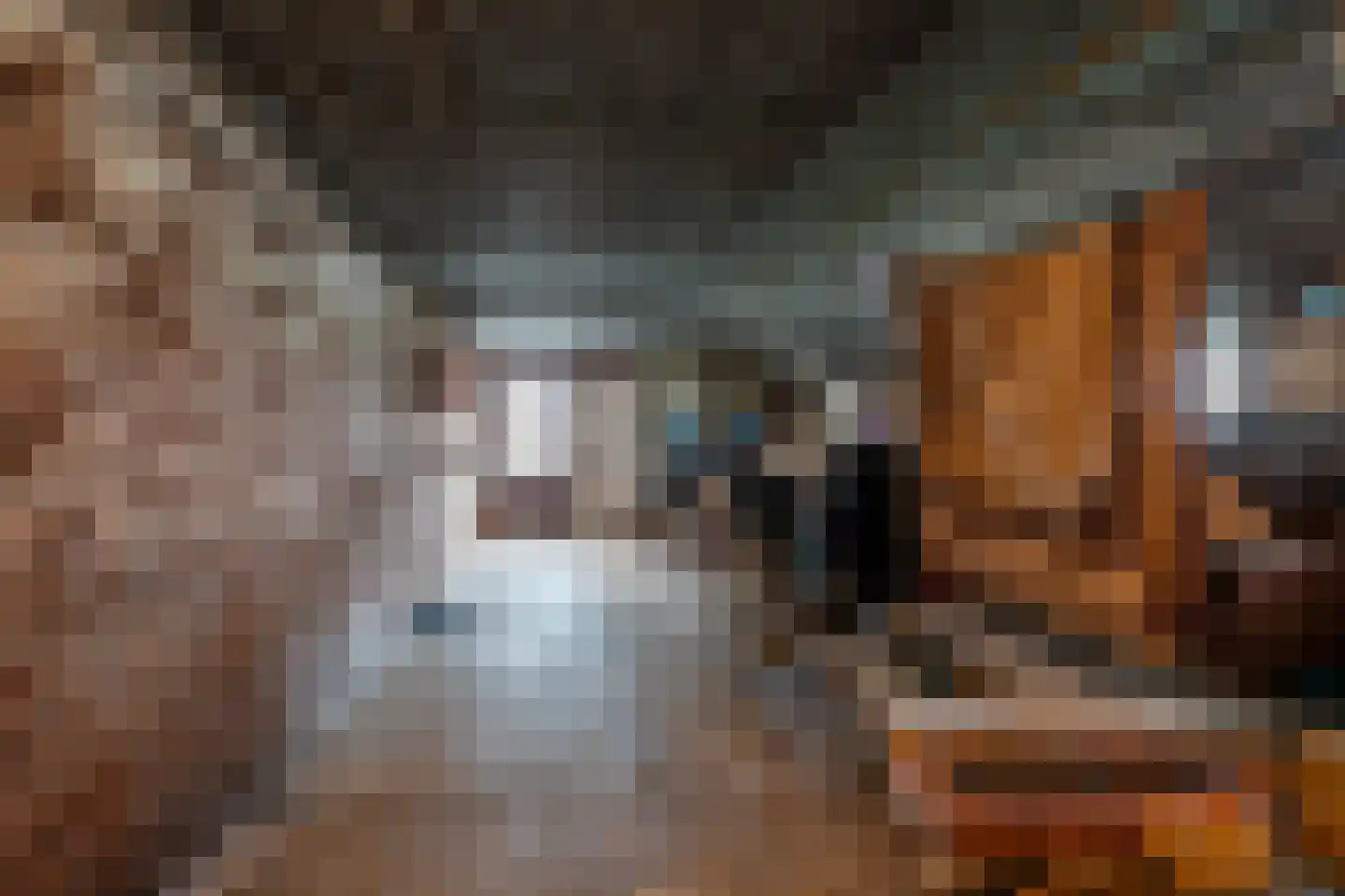 Jipsingboertangerweg 20 Sellingen thumbnail 19