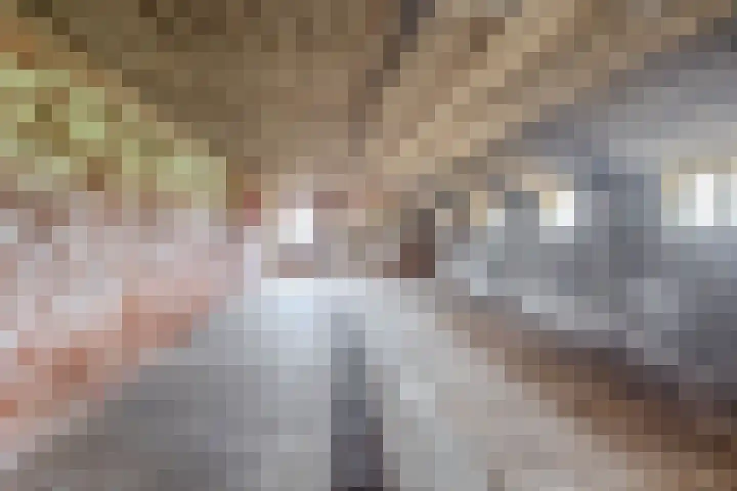 Jipsingboertangerweg 20 Sellingen thumbnail 27