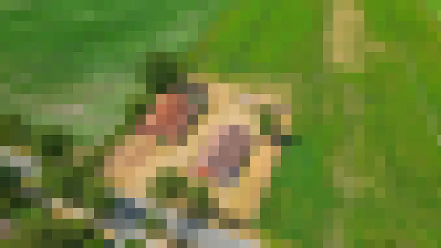 Jipsingboertangerweg 20 Sellingen thumbnail 35