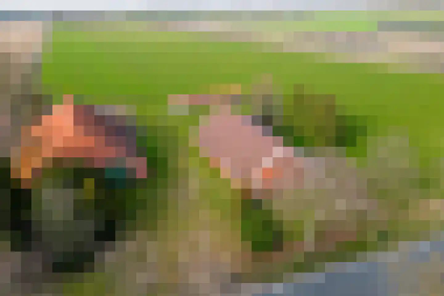 Jipsingboertangerweg 20 Sellingen thumbnail 5