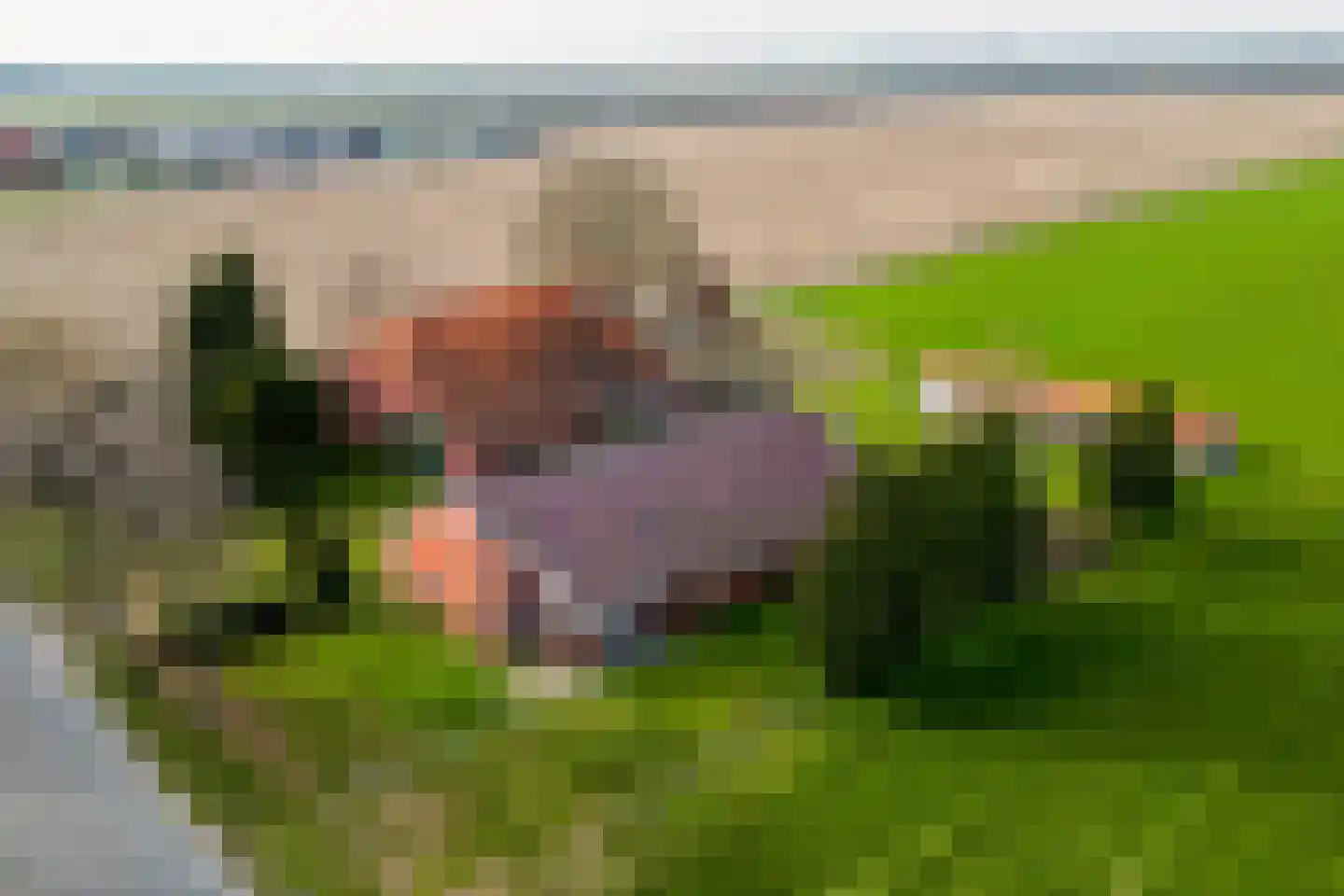 Jipsingboertangerweg 20 Sellingen thumbnail 6