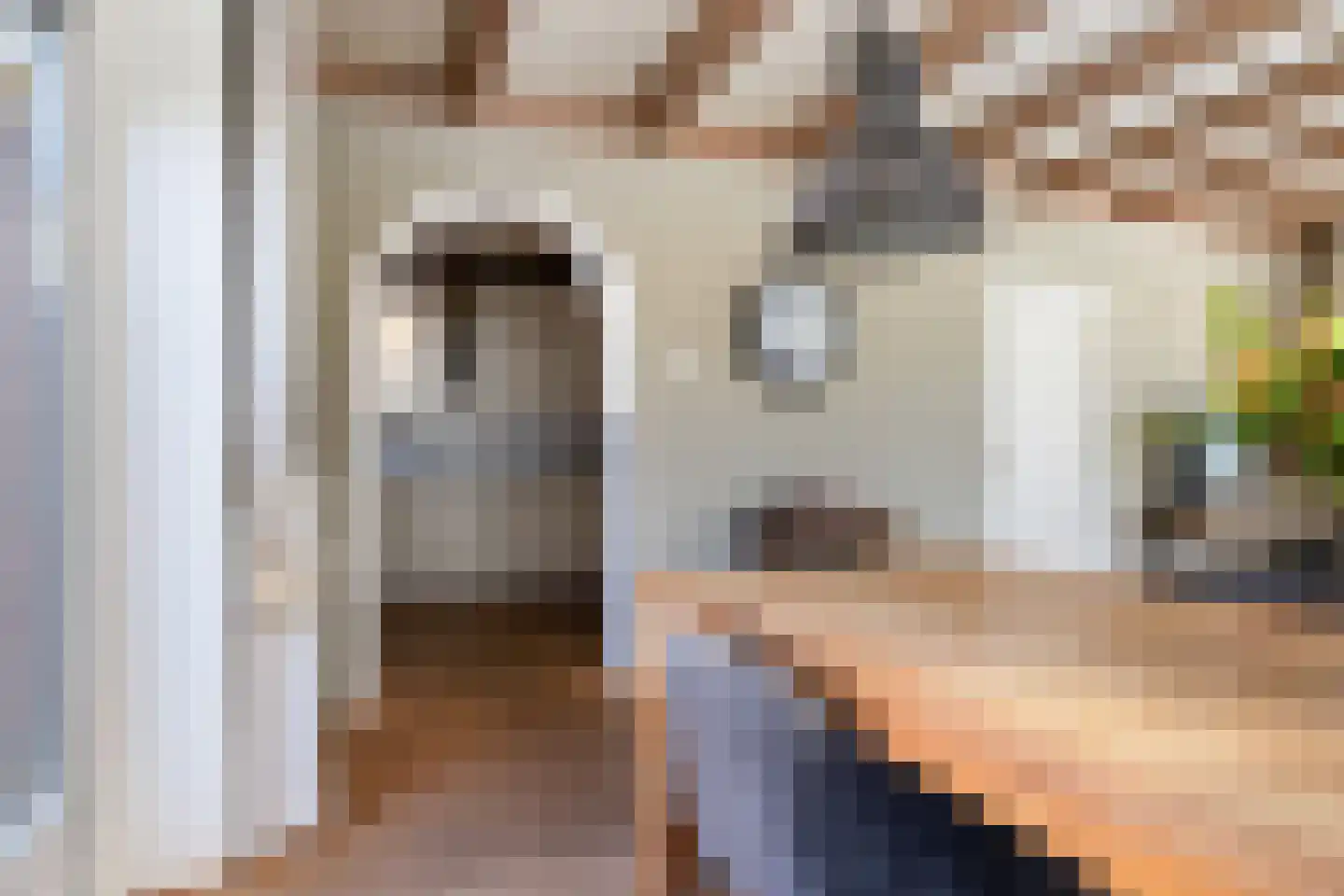 Jislumerdyk 3 Burdaard thumbnail 11
