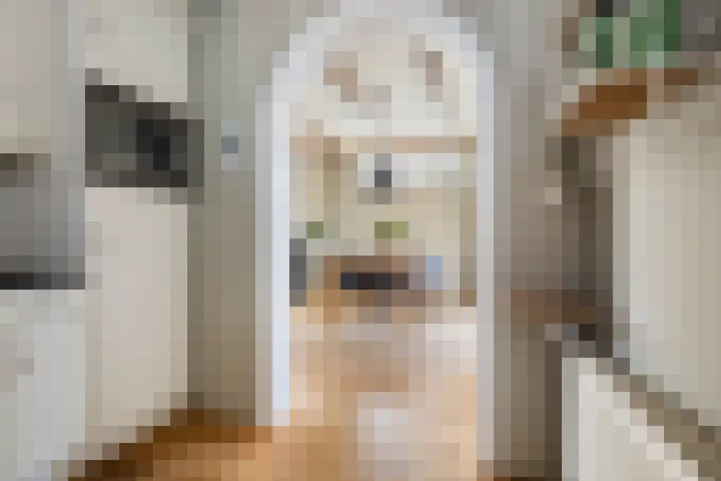 Jislumerdyk 3 Burdaard thumbnail 12