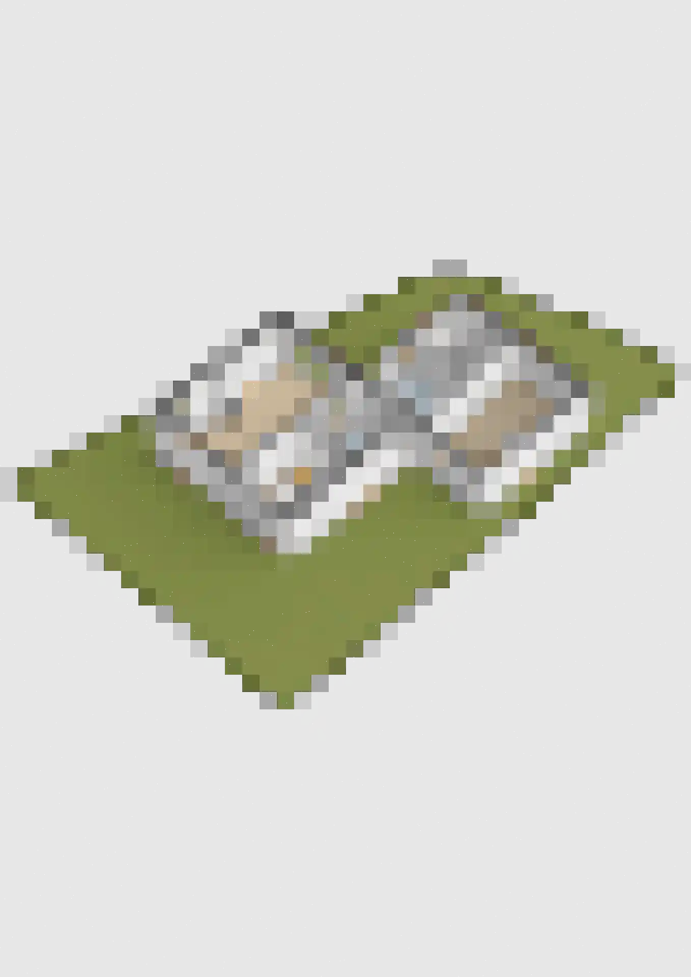 Jislumerdyk 3 Burdaard thumbnail 66