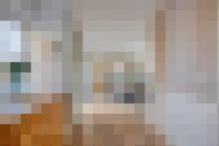 Jisperdijk 1 Wijdewormer thumbnail 12