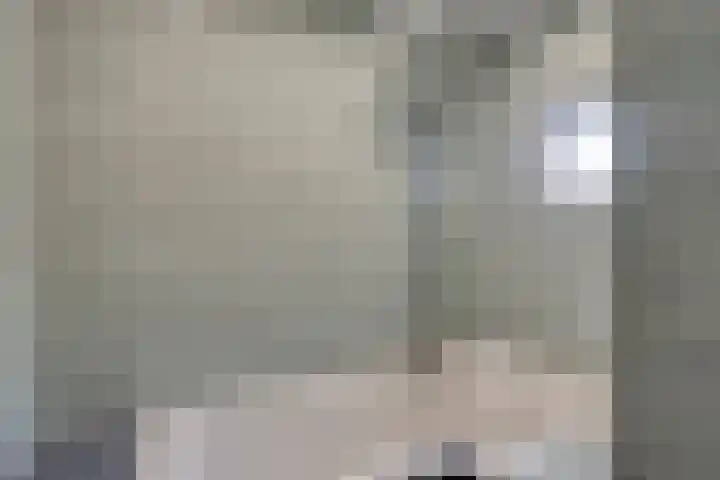 Jisperdijk 1 Wijdewormer thumbnail 23