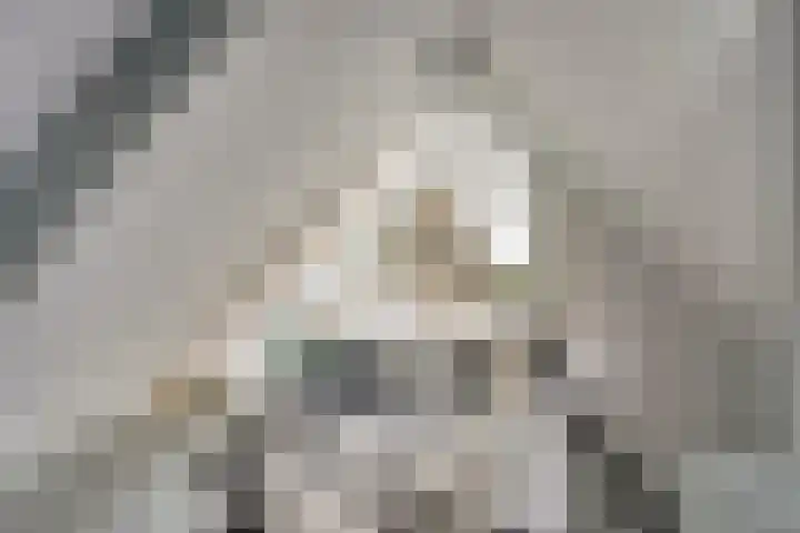 Jisperdijk 1 Wijdewormer thumbnail 27