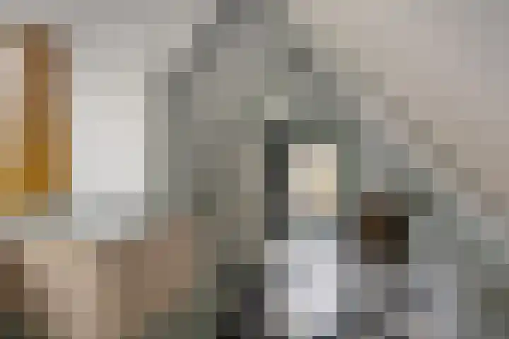 Jisperdijk 1 Wijdewormer thumbnail 29