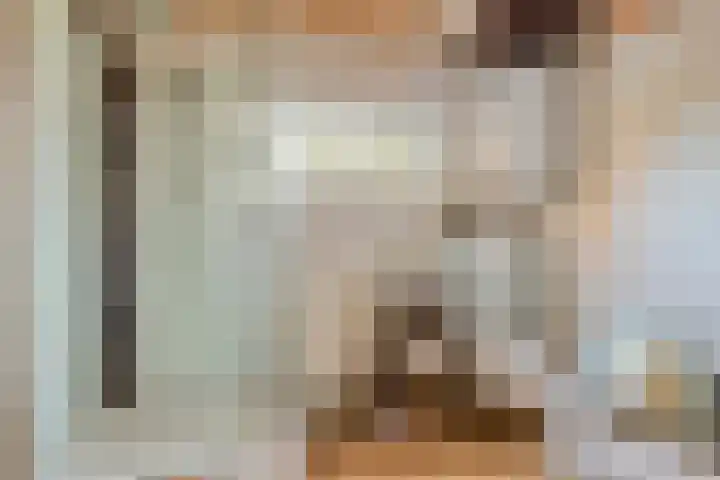Jisperdijk 1 Wijdewormer thumbnail 31