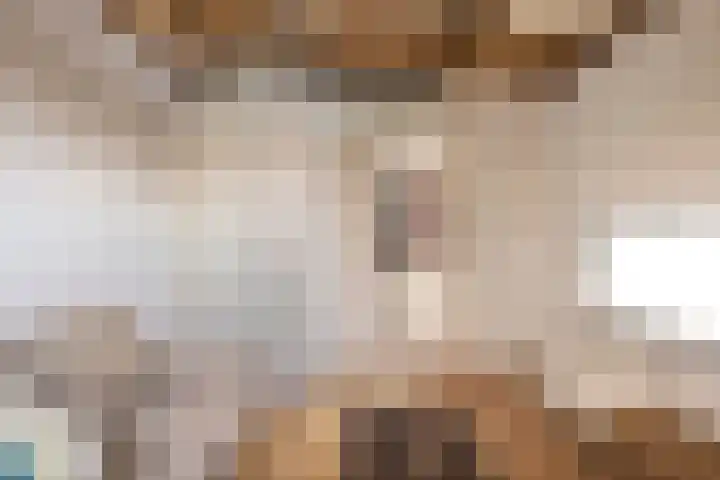 Jisperdijk 1 Wijdewormer thumbnail 32
