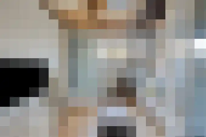 Jisperdijk 1 Wijdewormer thumbnail 33