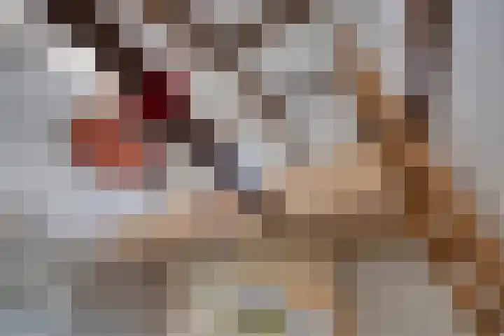 Jisperdijk 1 Wijdewormer thumbnail 38