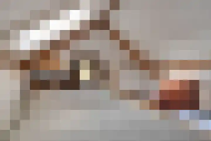 Jisperdijk 1 Wijdewormer thumbnail 39