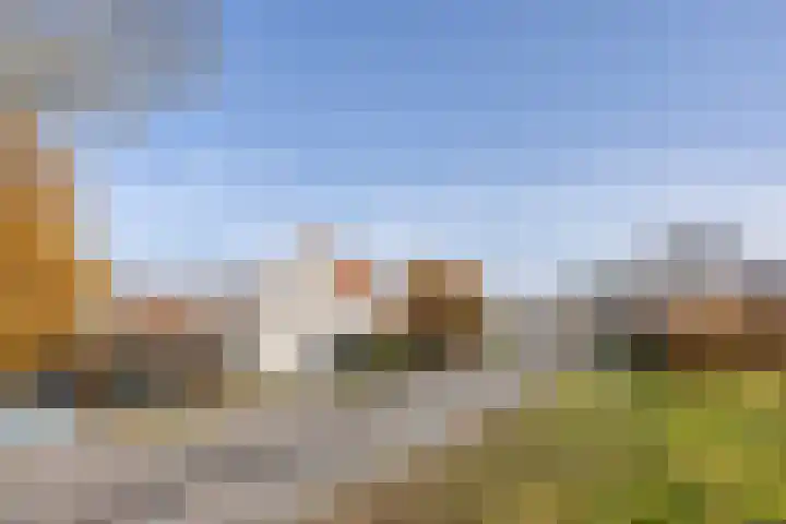 Jisperdijk 1 Wijdewormer thumbnail 4