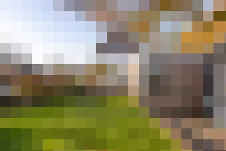 Jisperdijk 1 Wijdewormer thumbnail 40