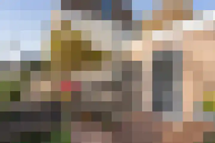 Jisperdijk 1 Wijdewormer thumbnail 41