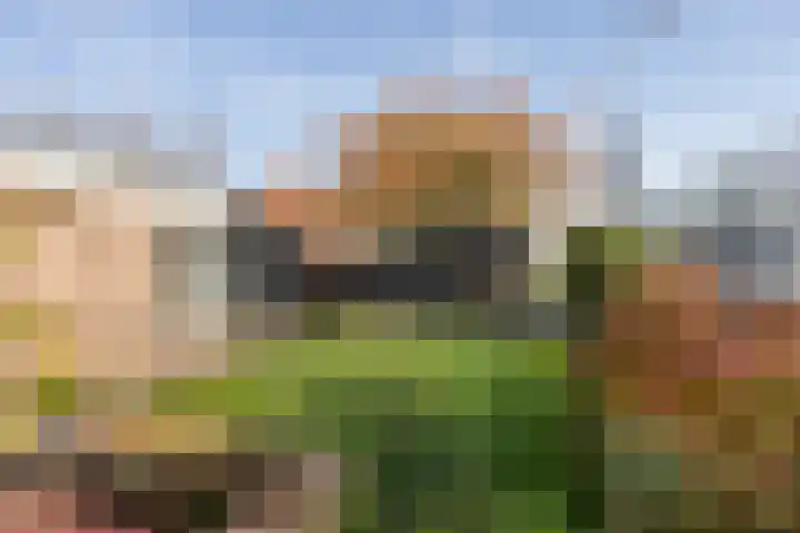 Jisperdijk 1 Wijdewormer thumbnail 42