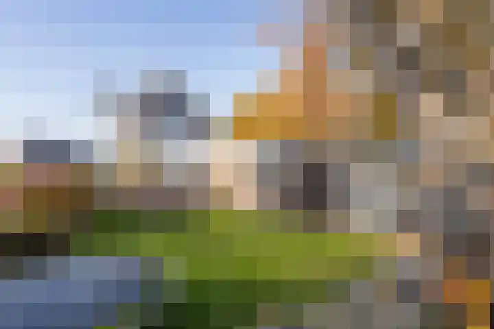 Jisperdijk 1 Wijdewormer thumbnail 43