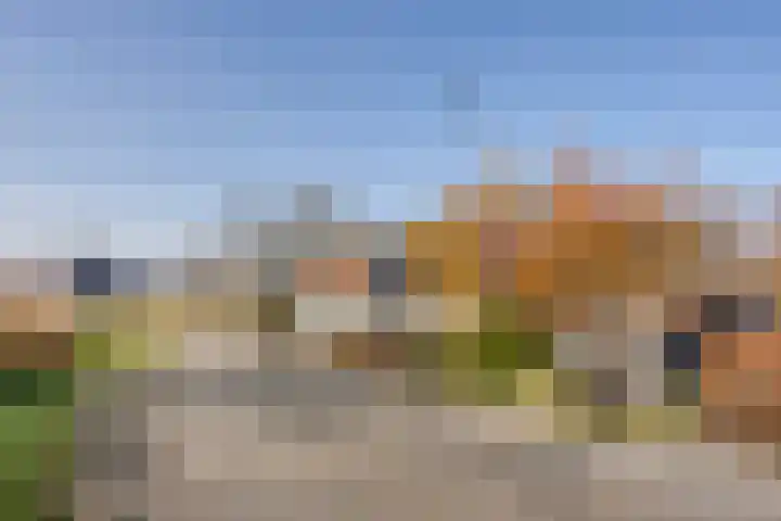 Jisperdijk 1 Wijdewormer thumbnail 45
