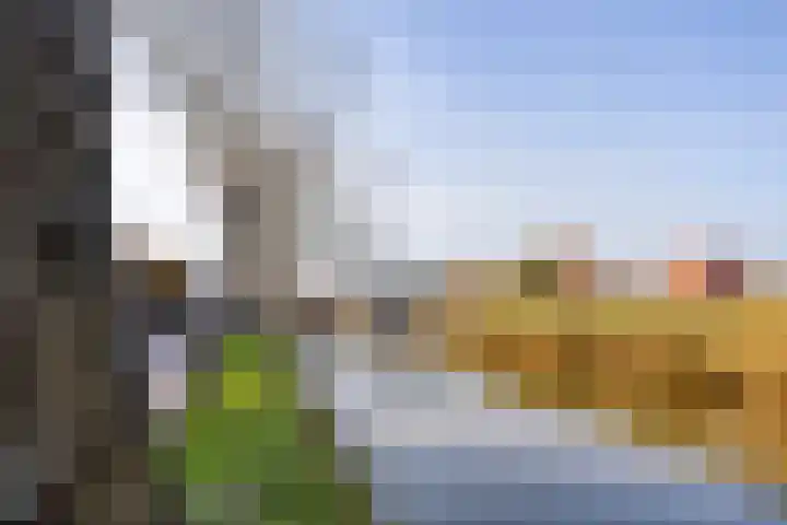 Jisperdijk 1 Wijdewormer thumbnail 47