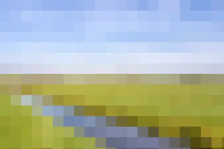 Jisperdijk 1 Wijdewormer thumbnail 48