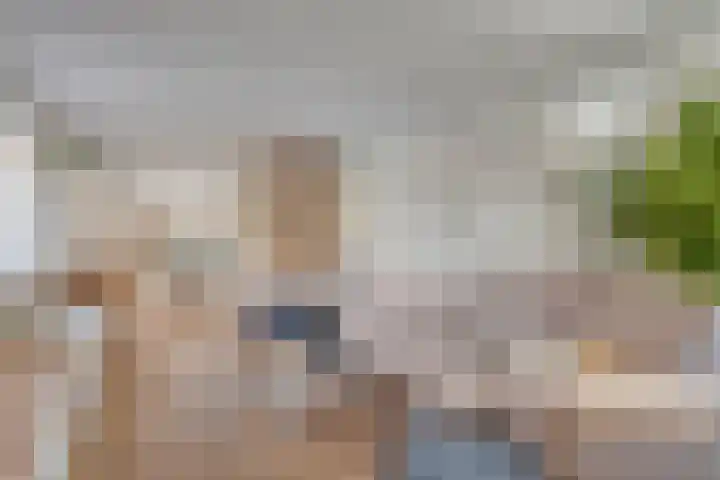 Jisperdijk 1 Wijdewormer thumbnail 7